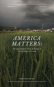 America Matters book cover Robert Sudha Hamilton
