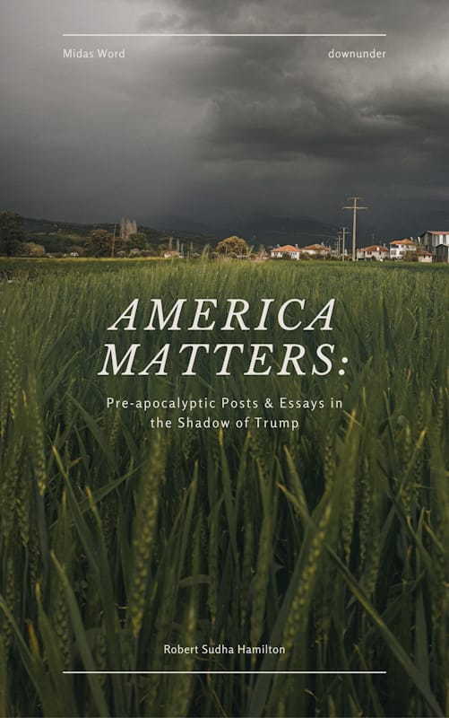 America Matters PDF version