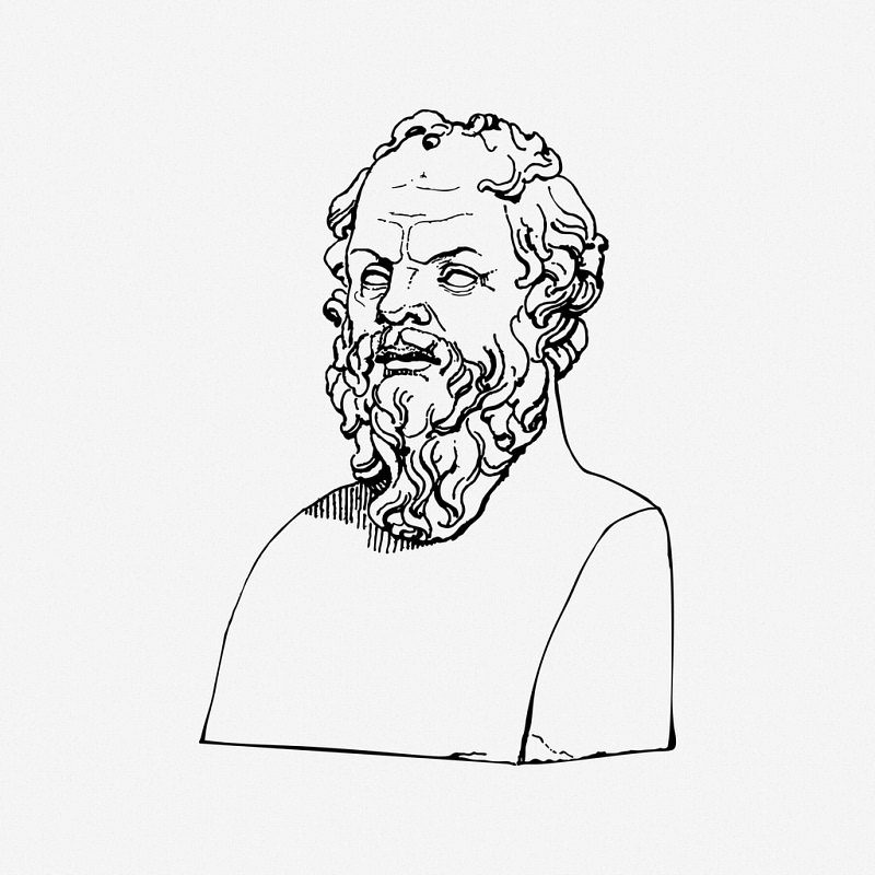 Socrates bust, drawing illustration