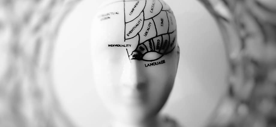 photo of head bust print artwork